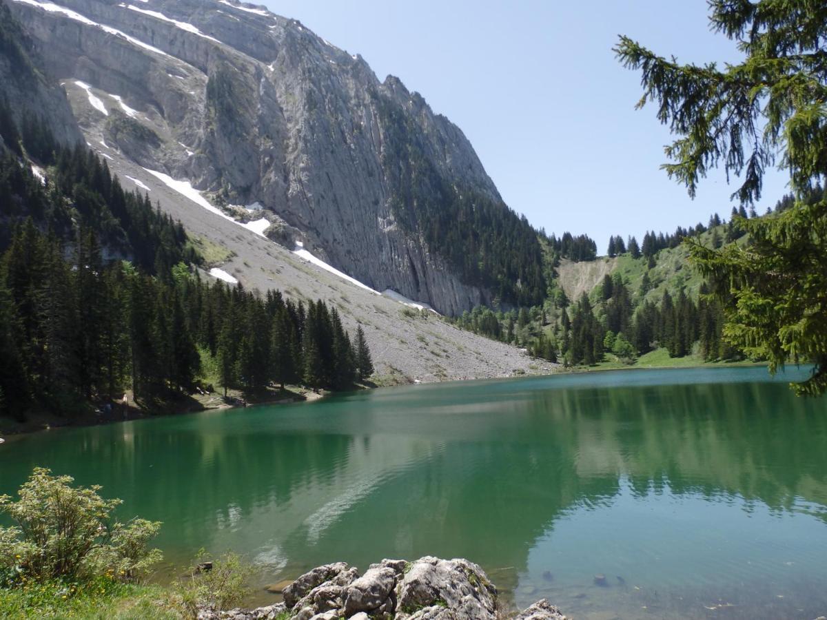 Au Coeur Des Alpes Acomodação com café da manhã Marignier Exterior foto